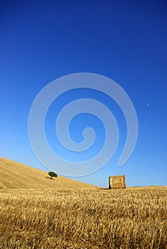 Plain of the Alentejo photo