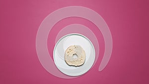 Plain bagel on a white plate on a pink background