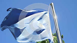 Plain blue flag blowing in the air with a blue sky and palm trees in background