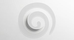 A plain, circular white object is centered on a white background, casting a soft shadow