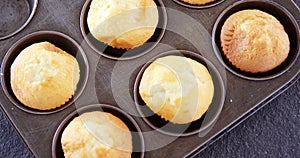 Plain cupcakes in baking tray 4k