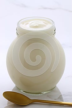 Plain french style yogurt