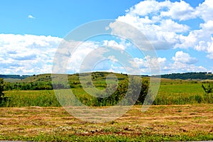 Plain with grains in the harvesting time