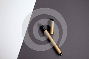 Plain grey paper and eco friendly pen. Business concept