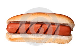 Plain Hot Dog with Grill Marks