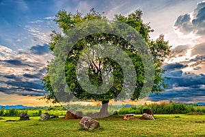 Plain of Jars is a megalithic archaeological landscape