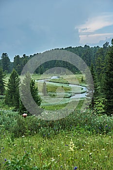 Plain landscape: river, grass, trees and overcast sky