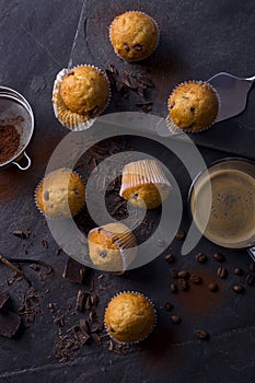 Plain mini muffins with chocolate chips on dark grey background