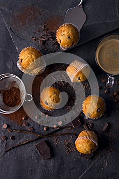 Plain mini muffins with chocolate chips on dark grey background