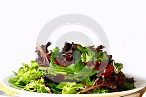 Plain Mixed Salad on a Plate