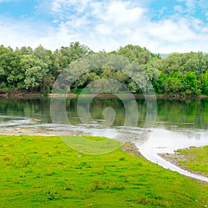 Plain river with inflows and forest