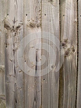 Plain unpainted wooden fence panel