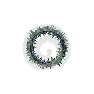 On a plain white background emphasizing the natural textures and