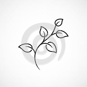 Plain white background, emphasizing the simplicity and elega