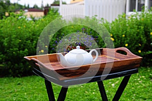 Plain White Teapot on Garden Table