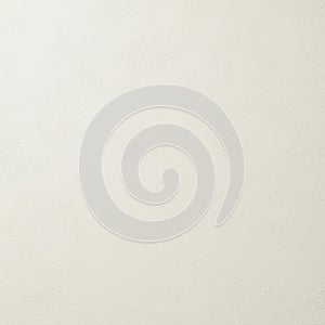 A plain white textured surface with a subtle rough pattern and uniform color. No