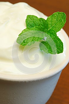 Plain yogurt in bowl