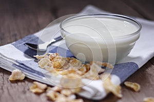 Plain yogurt in small glass bowl