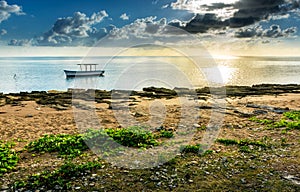 Plaine Corail Seashore - Rodrigues Island - Mauritius