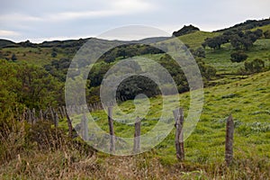 The Plaine des Cafres in Reunion Island