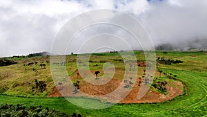 The Plaine des Cafres on Reunion Island filmed from a drone