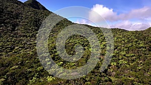 The Plaine des Cafres on Reunion Island filmed from with a drone