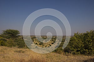 Plainland in the african savannah on a sunny day