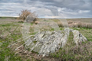 Plains at Alentejo in Castro Verde