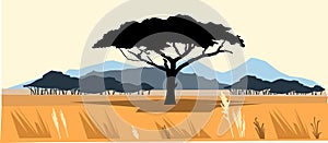Plains and mountains. African savannah landscape. Silhouette picture. Africa acacia tree. Vector.