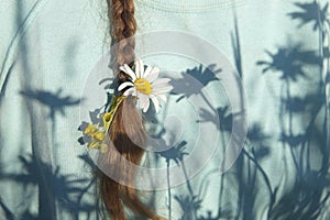 Plait with daisy photo