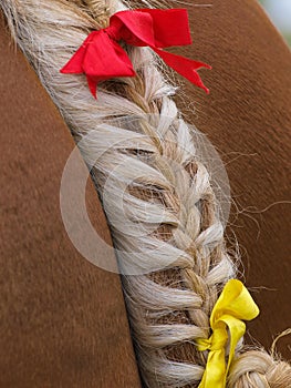 Plaited Horse Tail