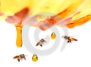 Nid d`abeilles dans le regroupement du miel. photo