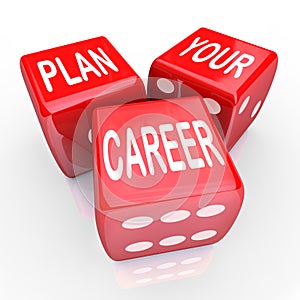 Plan Your Career Dice Gamble Future Opportunity