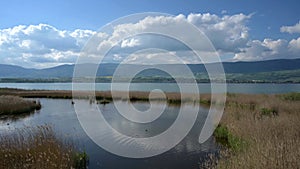 PLandscape with mountain, clouds and water. Time lapse of nature reserve in lake NeuchÃ¢tel, water bird and reflection.