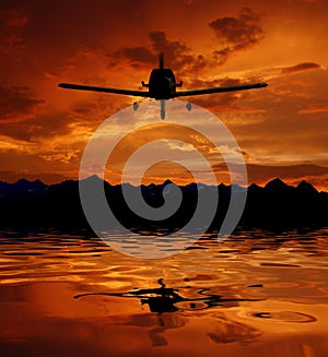 The plane on a background of the sky