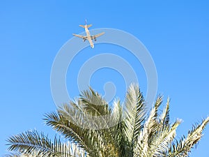 A plane in the blue sky flying low over a palm tree