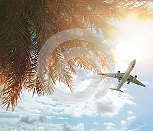 Plane and Coconut palm trees and blue sky with sun light and clouds. Happy holiday and tropical resort background