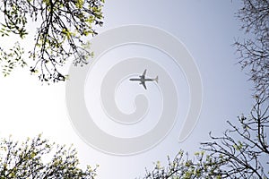 Plane crossing the sky of leaden or white colour. It can be seen between the branches of the trees of the city. Concept holidays