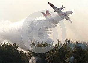 Plane drops water on a forest fire