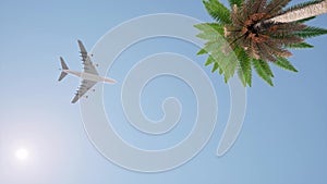 Plane flies against the palm and sun clear blue sky 3d