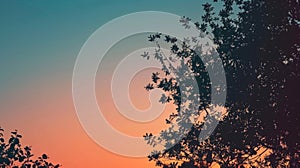 A plane flies over a tree at dusk