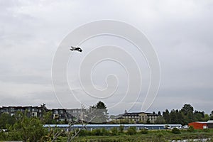 Plane flying over the Courtenay Air Park photo