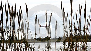 Plane flying over the Delta del Llobregat, El Prat del Llobregat, Barcelona