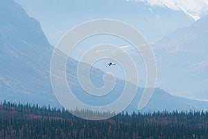 Plane flying in remote mountains in Alaska