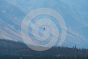 Plane flying in remote mountains in Alaska