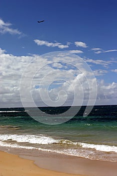 Plane at maui beach