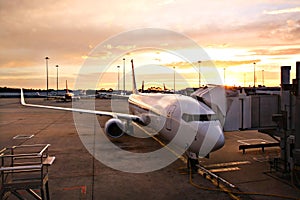 Plane at Melbourne Airport Terminal