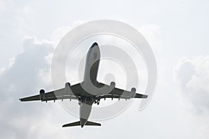 Plane overhead Airbus A330 photo