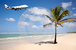 Plane and palm on beach photo