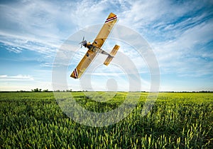 Plane sprayed crops in the field photo